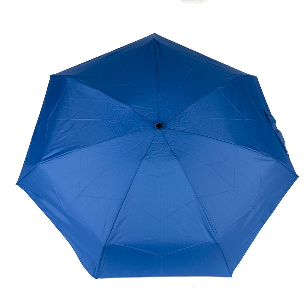 Umbrella (DD0806)