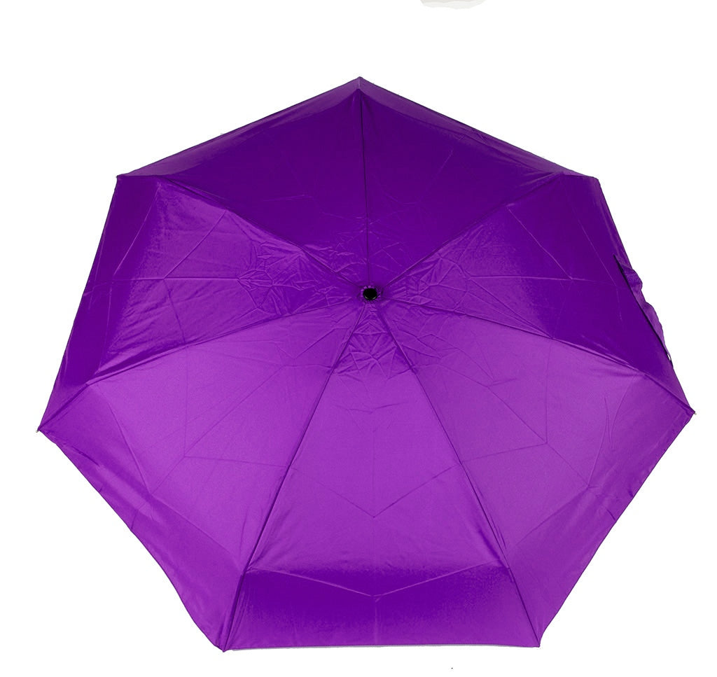 Umbrella (DD0806)